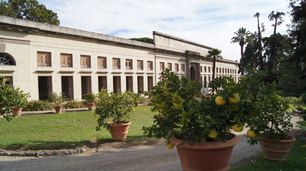 Il Museo Della Natura Morta E Gli Agrumi Della Limonaia Fooding Planet